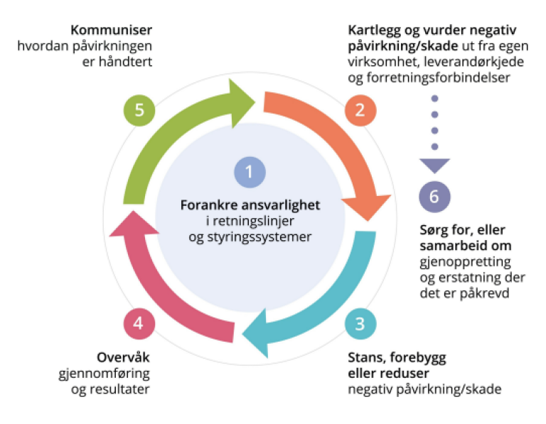 OECDs modell for aktsomhetsvurderinger for ansvarlig næringsliv